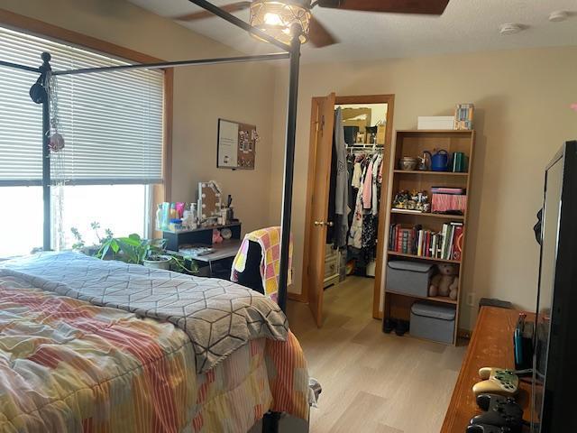 1141 5th St E, Saint Paul, MN 55106 - bedroom featuring light wood-style floors, a walk in closet, a closet, and ceiling fan