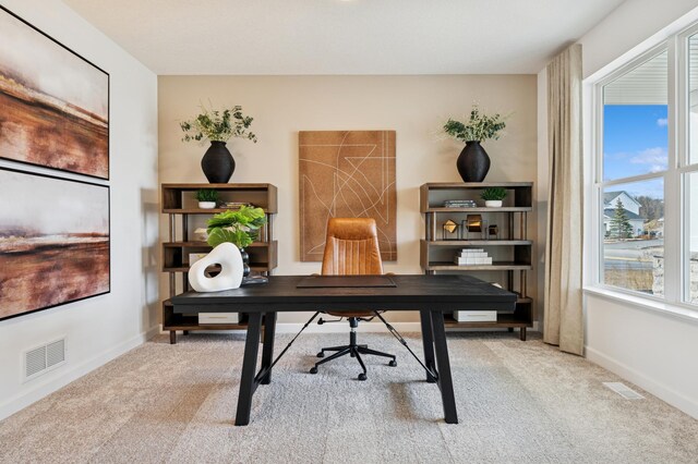 8398 Lander Ave NE, Otsego, MN 55330 - office with carpet and baseboards