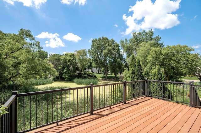 17245 33rd Ave N, Plymouth, MN 55447 - photo 42