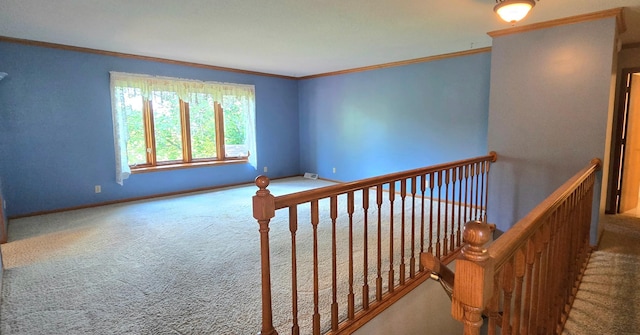 407 Johnson Dr, Lanesboro, MN 55949 - photo 3