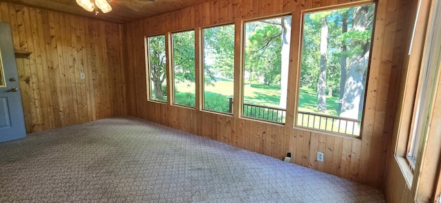 407 Johnson Dr, Lanesboro, MN 55949 - photo 21