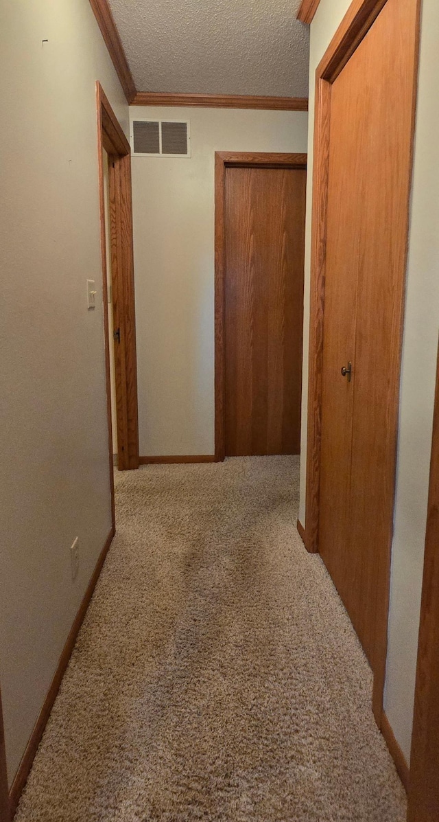 407 Johnson Dr, Lanesboro, MN 55949 - photo 22