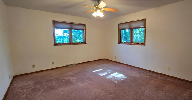 407 Johnson Dr, Lanesboro, MN 55949 - photo 23