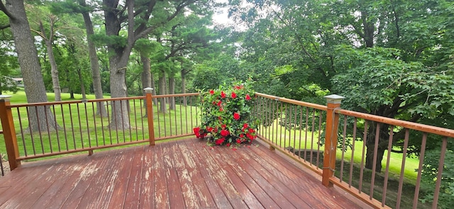 407 Johnson Dr, Lanesboro, MN 55949 - photo 55