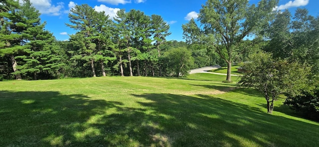 407 Johnson Dr, Lanesboro, MN 55949 - photo 61