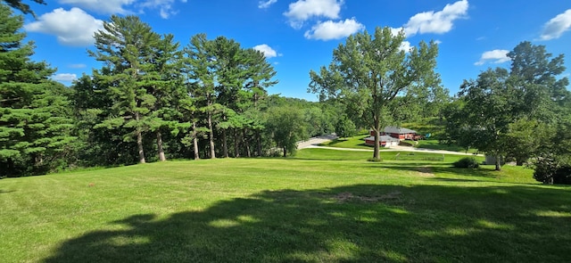 407 Johnson Dr, Lanesboro, MN 55949 - photo 62
