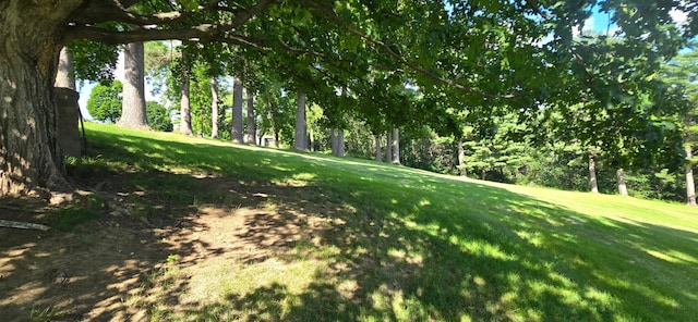 407 Johnson Dr, Lanesboro, MN 55949 - photo 64