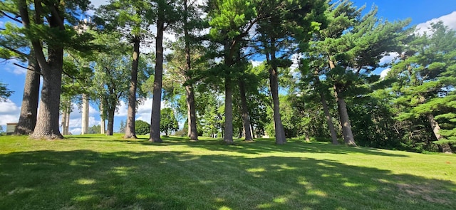407 Johnson Dr, Lanesboro, MN 55949 - photo 65