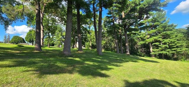 407 Johnson Dr, Lanesboro, MN 55949 - photo 66