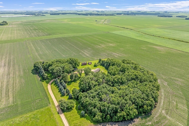 39205 436th St, Saint Peter, MN 56082 - overview of rural landscape featuring large plots for crops