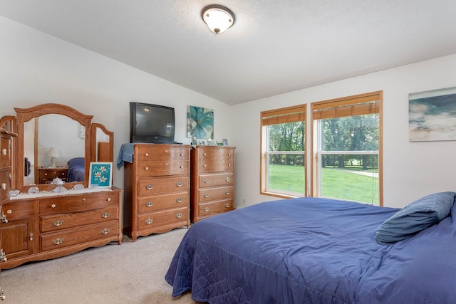 39205 436th St, Saint Peter, MN 56082 - bedroom with vaulted ceiling and light carpet
