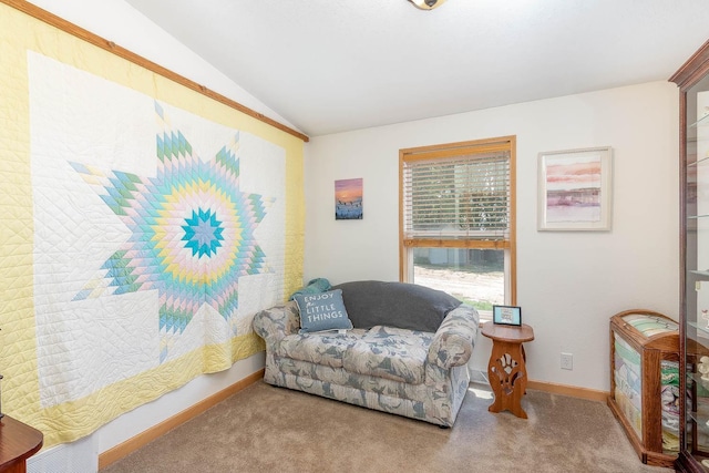 39205 436th St, Saint Peter, MN 56082 - sitting room with lofted ceiling and carpet floors