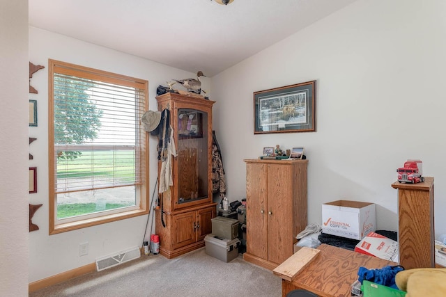 39205 436th St, Saint Peter, MN 56082 - sitting room with carpet floors and vaulted ceiling