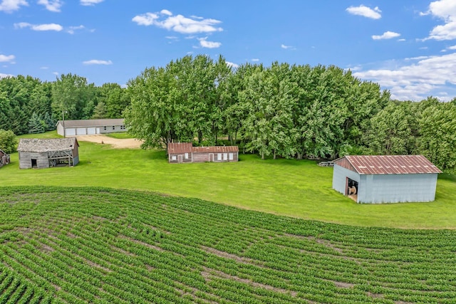 39205 436th St, Saint Peter, MN 56082 - view of grassy yard featuring a pole building and an outbuilding