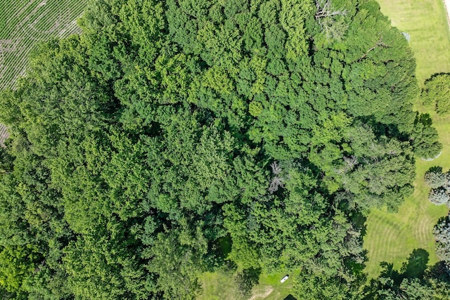 39205 436th St, Saint Peter, MN 56082 - aerial view of property and surrounding area with rural landscape