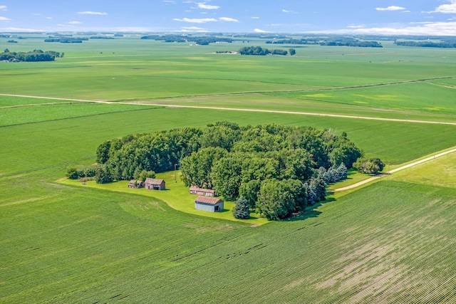 39205 436th St, Saint Peter, MN 56082 - view of rural area