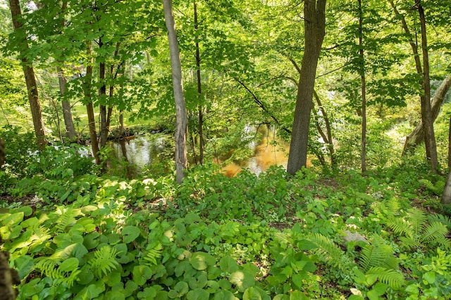 2087 Violet Ln, New Brighton, MN 55112 - photo 28