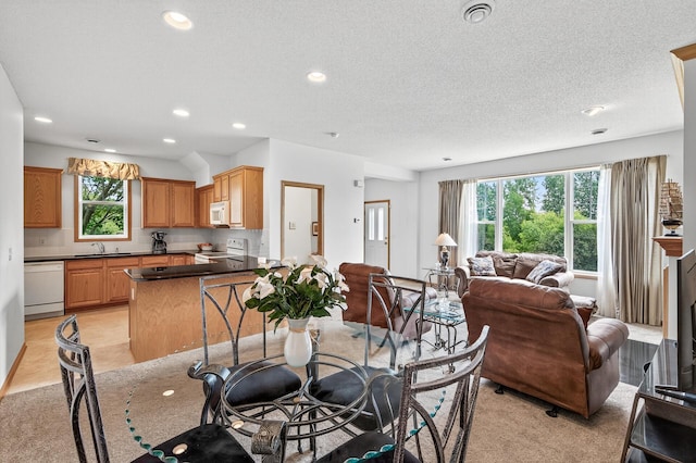6597 Linwood Dr NE, Albertville, MN 55301 - photo 7