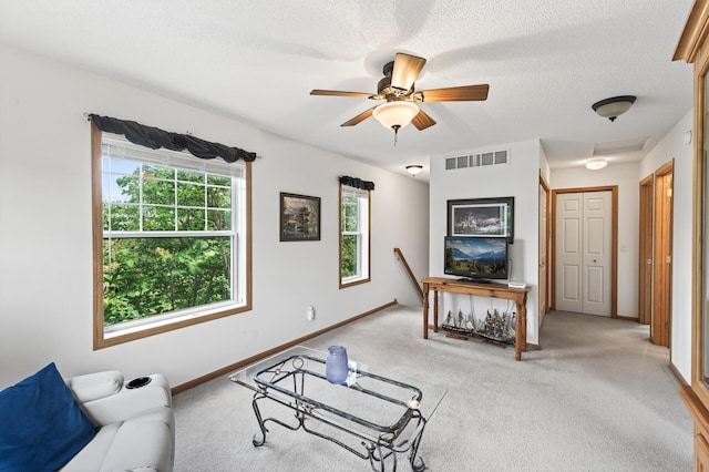 6597 Linwood Dr NE, Albertville, MN 55301 - photo 15