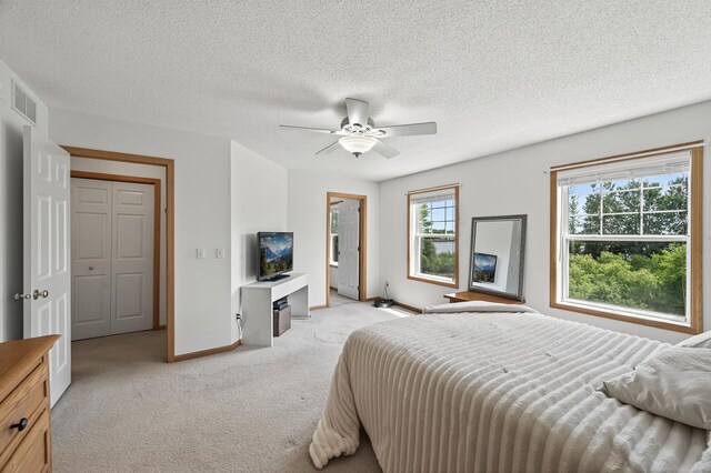 6597 Linwood Dr NE, Albertville, MN 55301 - photo 17