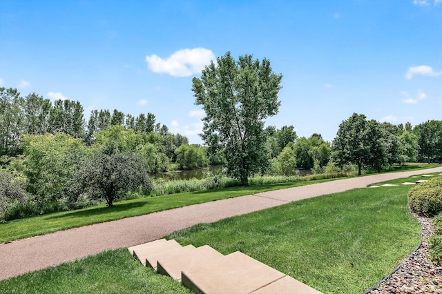 6597 Linwood Dr NE, Albertville, MN 55301 - photo 25