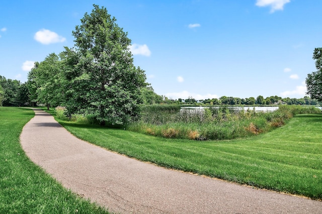6597 Linwood Dr NE, Albertville, MN 55301 - photo 26
