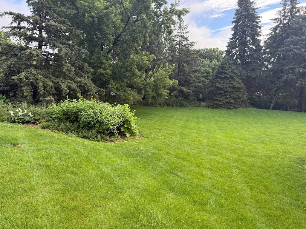 12280 48th Ave N, Plymouth, MN 55442 - view of green lawn with a view of trees
