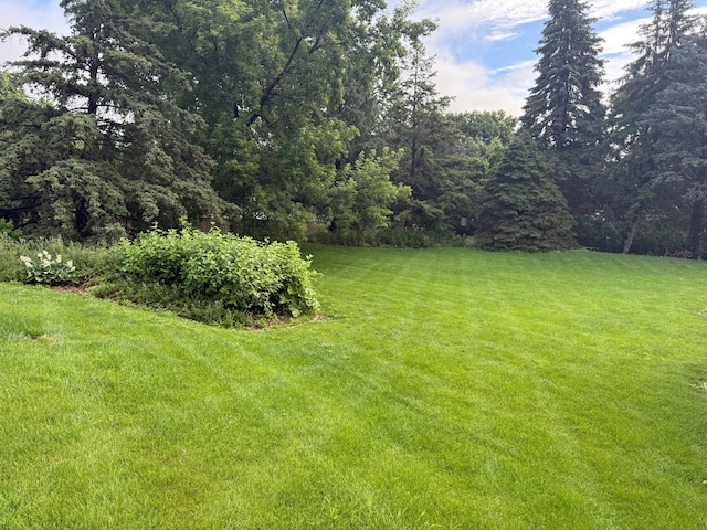 12280 48th Ave N, Plymouth, MN 55442 - view of green lawn with a view of trees