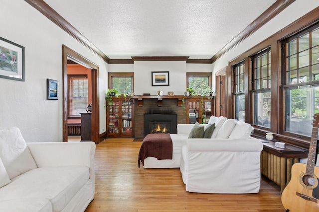 1756 Minnehaha Ave W, Saint Paul, MN 55104 - living room featuring ornamental molding, a textured ceiling, plenty of natural light, light wood-style floors, and radiator heating unit