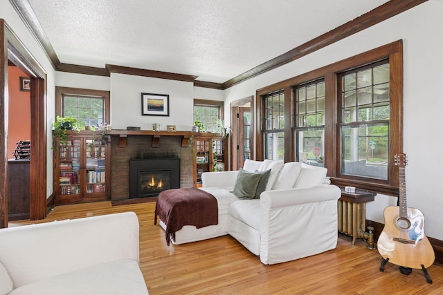 1756 Minnehaha Ave W, Saint Paul, MN 55104 - living area featuring light wood-style floors, a textured ceiling, ornamental molding, plenty of natural light, and a fireplace