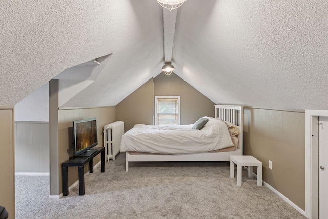 1756 Minnehaha Ave W, Saint Paul, MN 55104 - bedroom with radiator heating unit, a textured ceiling, carpet floors, and vaulted ceiling