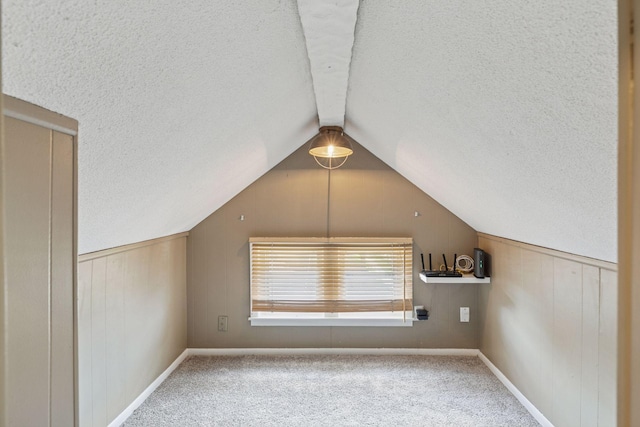 1756 Minnehaha Ave W, Saint Paul, MN 55104 - additional living space featuring carpet floors, lofted ceiling, a textured ceiling, and wood walls