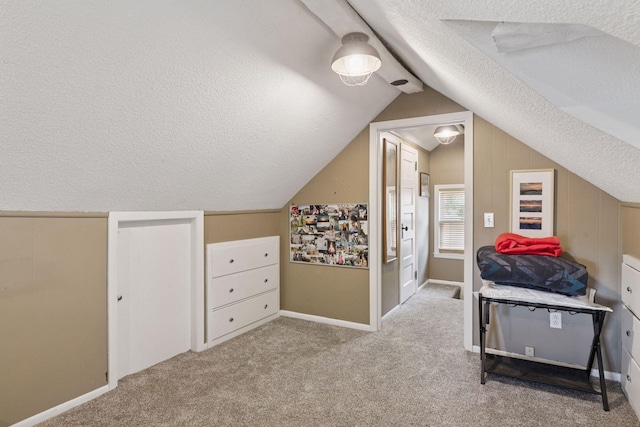 1756 Minnehaha Ave W, Saint Paul, MN 55104 - bedroom featuring a textured ceiling, lofted ceiling, and carpet