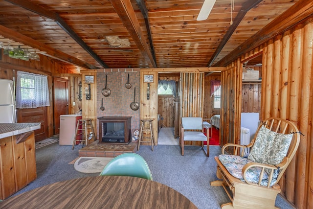 14676 Devitt Ave NW, Silver Creek Twp, MN 55362 - living area featuring radiator heating unit, carpet, washer / dryer, wooden walls, and a glass covered fireplace