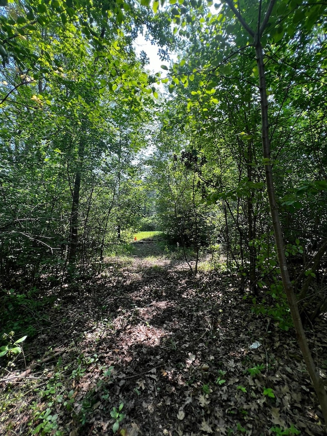 TBD Summit Lane, Mora, MN 55051 - photo 8