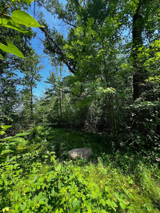 TBD Summit Lane, Mora, MN 55051 - photo 9