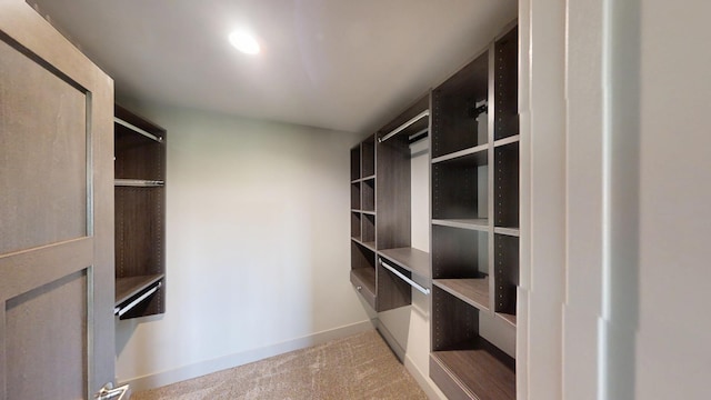 2334 9th St W, Albert Lea, MN 56007 - spacious closet with carpet flooring