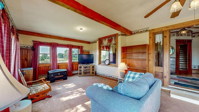 13331 40th St SE, Eyota, MN 55934 - photo 22