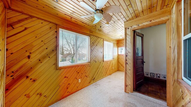 13331 40th St SE, Eyota, MN 55934 - photo 27