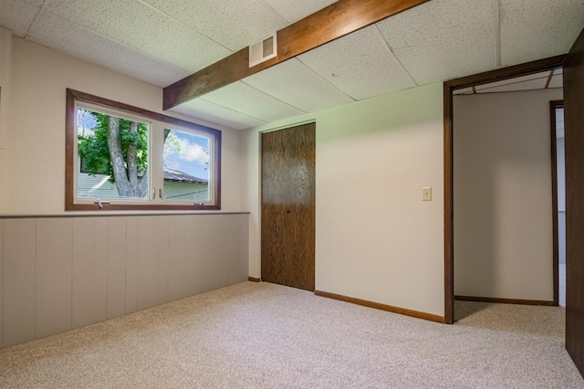 5445 Large Ave NE, Albertville, MN 55301 - below grade area featuring carpet, wooden walls, and a wainscoted wall