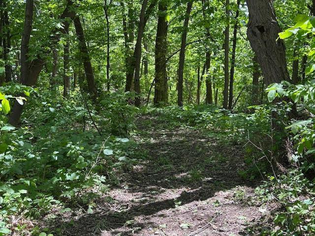 6365 Bay Ridge Rd, Mound, MN 55364 - photo 13