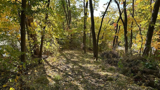 6365 Bay Ridge Rd, Mound, MN 55364 - photo 15