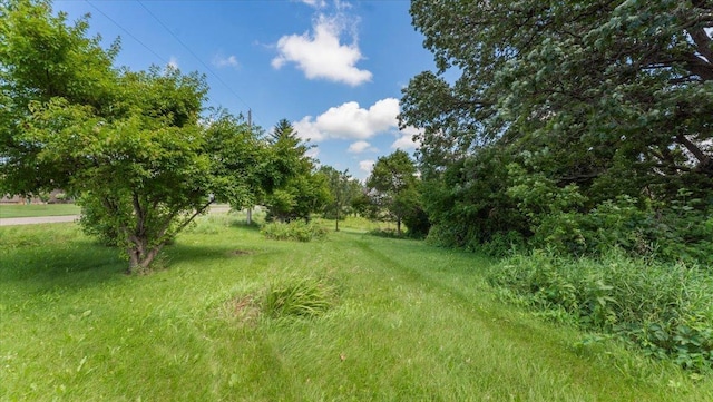 39773 444th St, Sauk Centre, MN 56378 - photo 16