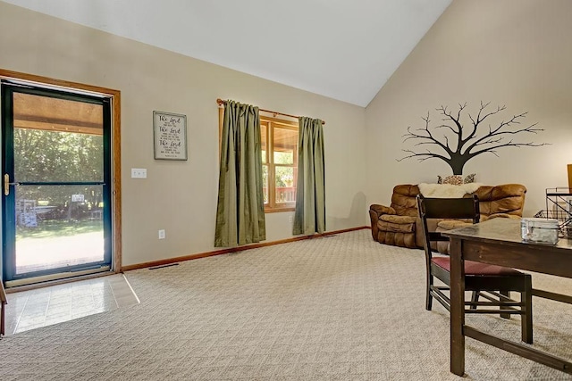 417 Whiskey Rd SW, Isanti, MN 55040 - office featuring carpet flooring, plenty of natural light, and lofted ceiling