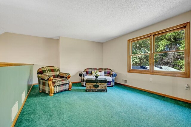 417 Whiskey Rd SW, Isanti, MN 55040 - sitting room with carpet floors and a textured ceiling
