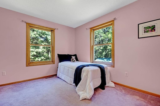 417 Whiskey Rd SW, Isanti, MN 55040 - carpeted bedroom featuring multiple windows