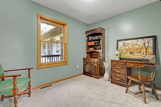 417 Whiskey Rd SW, Isanti, MN 55040 - carpeted office with baseboards and a textured ceiling