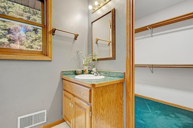 417 Whiskey Rd SW, Isanti, MN 55040 - bathroom with vanity and a walk in closet