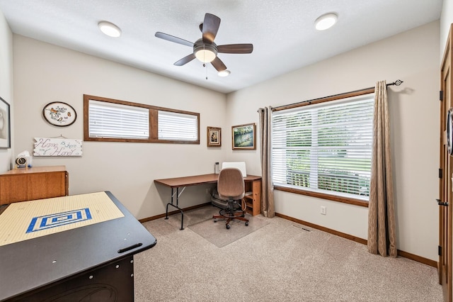 721 Somerwood Way, Waconia, MN 55387 - photo 3