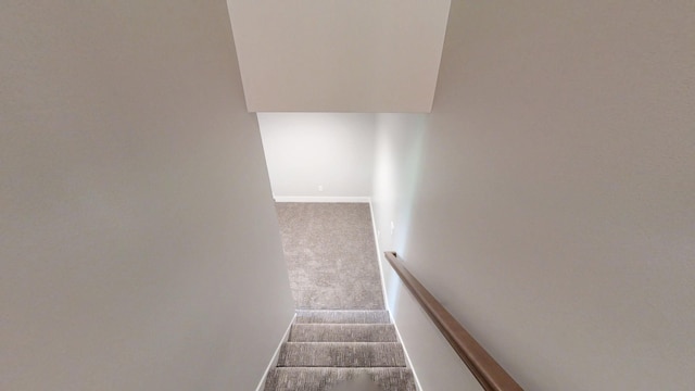 2330 9th St W, Albert Lea, MN 56007 - stairs with carpet floors and baseboards